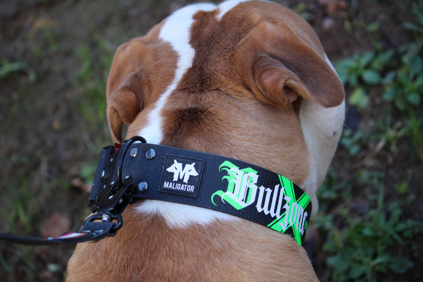 BioFORCE - BULLZONE