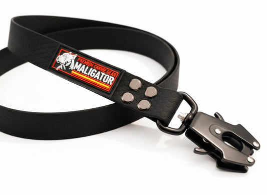 BIOFORCE LEAD
