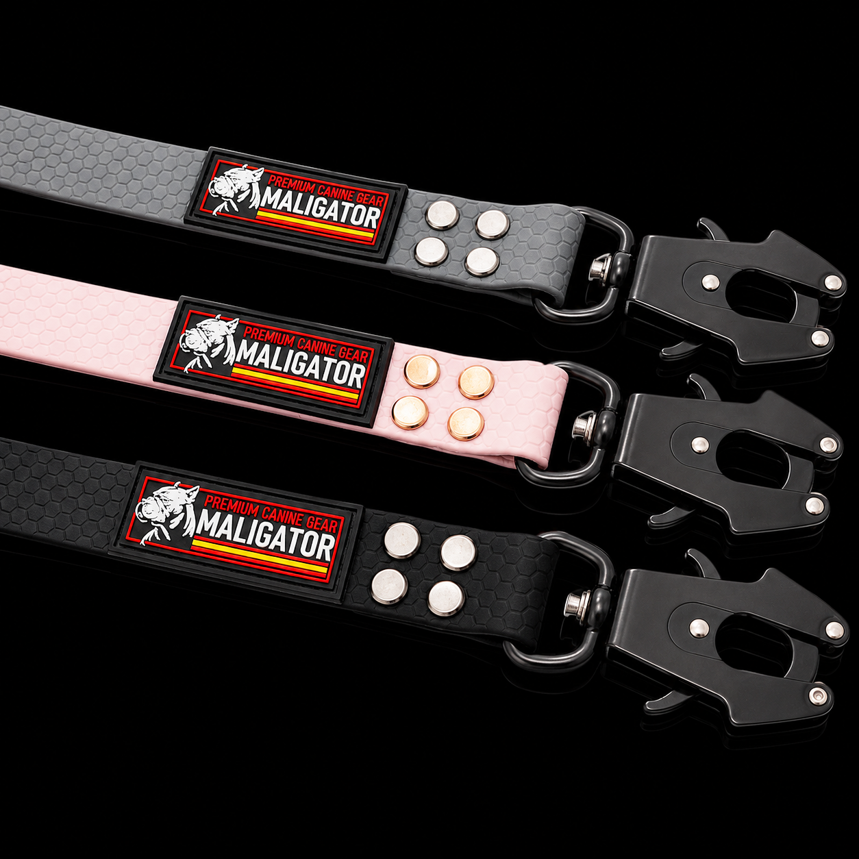 BIOFORCE LEAD - BULLZONE